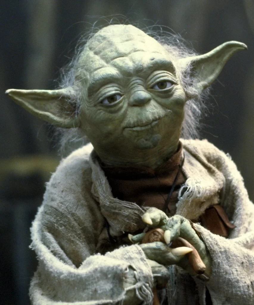 Yoda Leadership